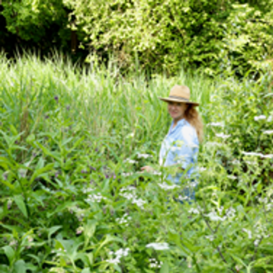 Wildplukwandeling en lunch 