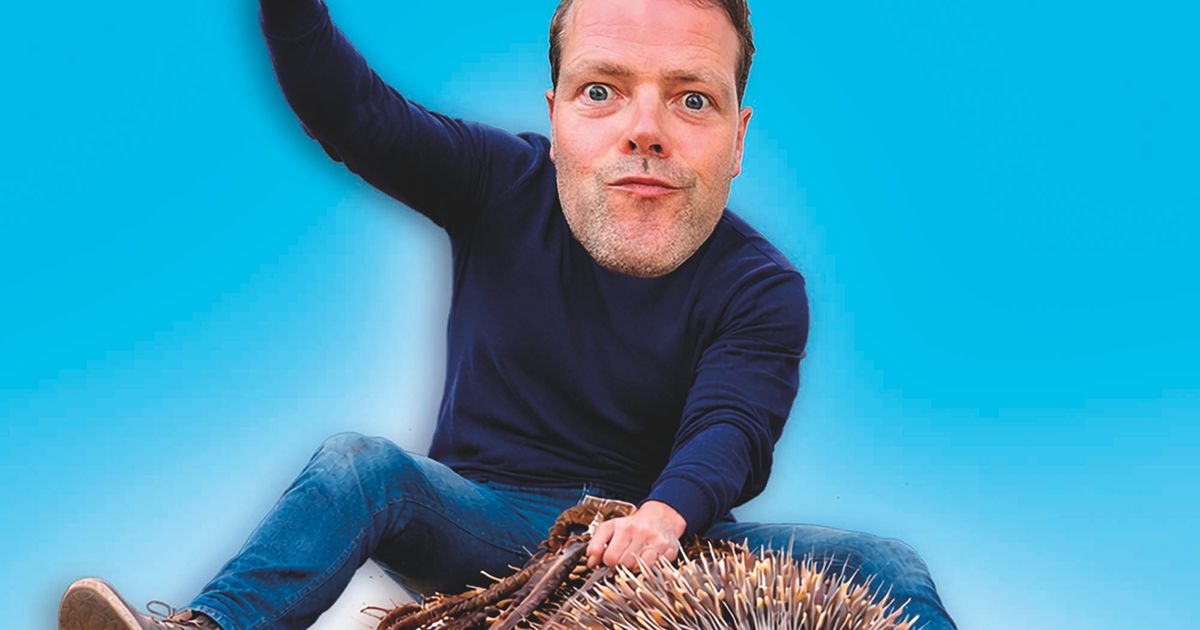 Martijn Koning — Overprikkeld